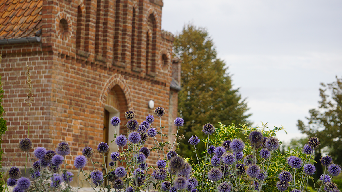 Blistrup Kirkes hoveddør med blomstrende mandstro. Foto: Blistrup Kirke